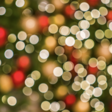 Tendencias de Campañas Publicitarias para Navidad 2024: Lo que vimos en Moda y Publicidad